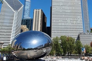 Chicago: Group Walking Tour