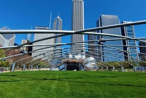 Chicago: Group Walking Tour