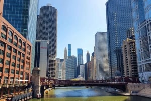 Chicago: Group Walking Tour