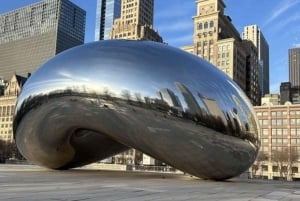 Chicago: Hoogtepunten wandeltour met gids