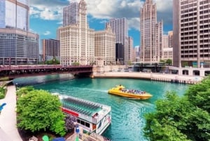 Chicago: Højdepunkter til fods med en guide