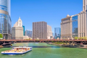 Chicago Highlights Walking Tour with Skydeck & Cruise