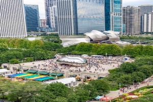 Chicago Highlights Walking Tour with Skydeck & Cruise