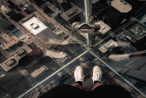 Chicago Highlights Walking Tour with Skydeck & Cruise