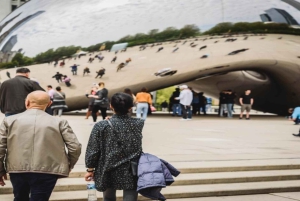 Chicago Highlights Walking Tour with Skydeck & Cruise