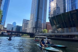 Chicago: History and Architecture Guided Kayak Tour
