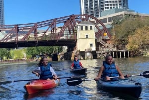 Chicago: History and Architecture Guided Kayak Tour