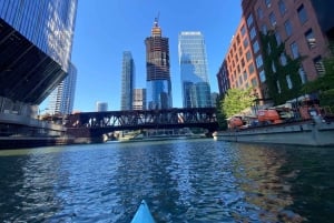 Chicago: History and Architecture Guided Kayak Tour