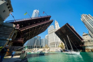 Chicago : Visite à pied de l'histoire et de l'architecture avec croisière commentée