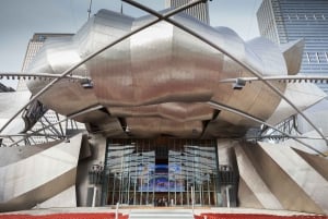 Chicago: begeleide architectuurwandeling met iconen