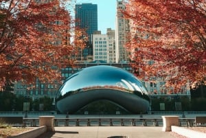 Chicago: Must-Sees & Hidden Gems In-App Audio Tour (ENG)