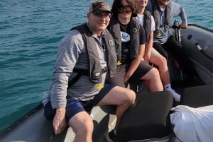 Chicago: Tour por el lago y el río en un barco semirrígido