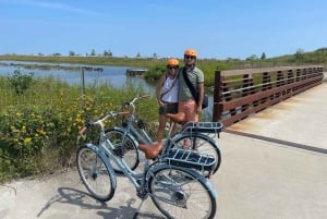 Chicago: E-Bike-Tour entlang der Uferpromenade, durch Parks und zu Museen