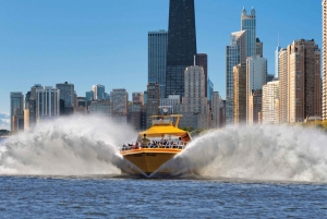 Chicago Lakefront: Seadog-Speedboat-Tour