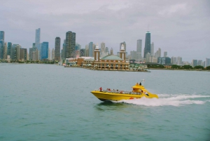 Chicago Lakefront: przejażdżka łodzią motorową Seadog