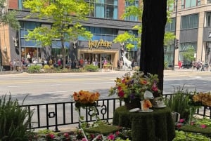 Chicago: Magnificent Mile Tour met optionele 360 Chicago