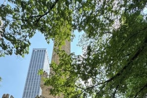 Chicago: Magnificent Mile Tour met optionele 360 Chicago