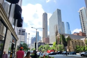 Chicago: Magnificent Mile -kierros ja valinnainen 360 Chicago