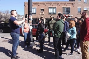 Chicago: Tour a piedi del birrificio Malt Row