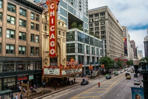 Chicago: must-see Chicago 90 minuten durende wandeltocht