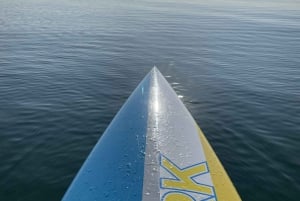 Chicago & North Shore Stand Up Paddle board-undervisning & tur