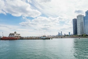 Chicago River: 1,5-timers guidet arkitekturcruise