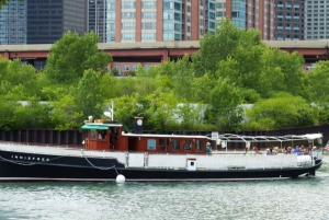 Chicago: Architektura historyczna Chicago River Small Boat Tour