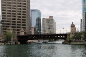 Chicago River guidad tur med egen guide