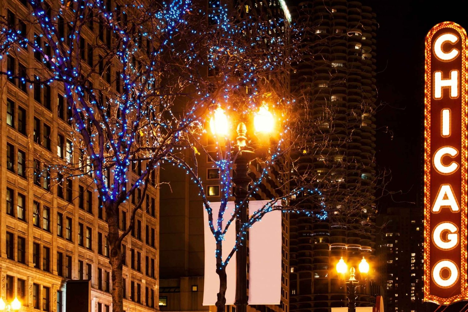 Chicago’s Festive Lights: A Magical Christmas Journey