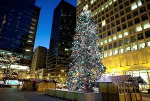 Les lumières festives de Chicago : Un voyage de Noël magique