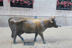 Chicago Scenic Driving Tour