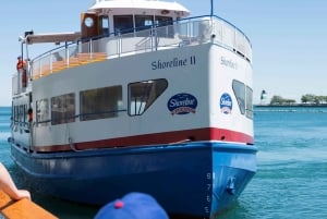 Chicago: crociera lungo la costa del lago Michigan con vista sullo skyline