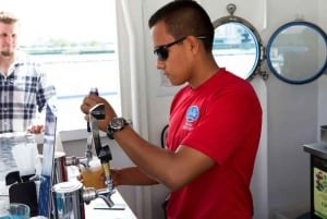 Chicago: crociera lungo la costa del lago Michigan con vista sullo skyline