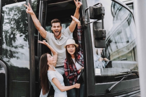 Chicago: Tour panoramico della città in minibus di lusso