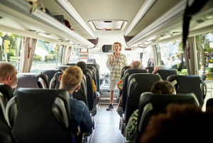 Chicago: City tour turístico em micro-ônibus de luxo