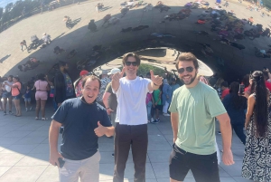 Chicago: Tour turístico en minibús de lujo por la ciudad