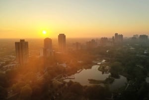 Chicago: experiencia de vuelo práctico en dron sobre el paisaje urbano