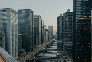 Chicago: passeio de miniautocarro em pequenos grupos com guia