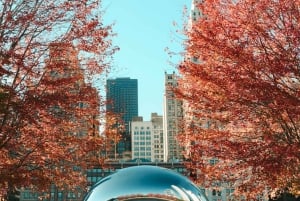 Chicago: passeio de miniautocarro em pequenos grupos com guia