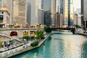 Chicago: passeio de miniautocarro em pequenos grupos com guia