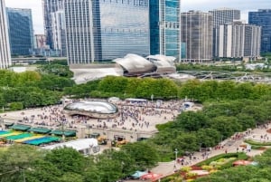 Chicago: Small Group Walking Tour with Skydeck and Boat