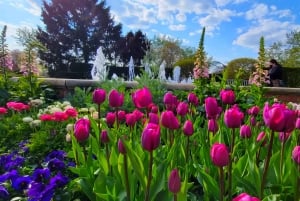 Chicago Suburbs Tour- The Hidden Gems