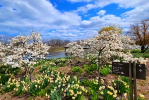 Chicago Suburbs Tour- The Hidden Gems