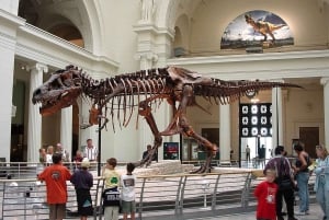 Chicago : The Field Museum Skip the Line 2H Guided Tour