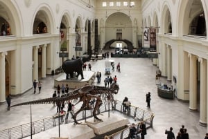 Chicago : The Field Museum Skip the Line 2H Guided Tour