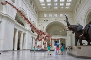 Chicago : The Field Museum Skip the Line 2H Guided Tour