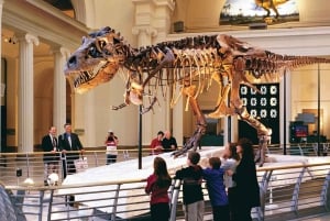 Chicago : The Field Museum Skip the Line 2H Guided Tour