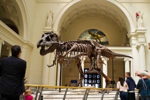 Chicago : The Field Museum Skip the Line 2H Guided Tour