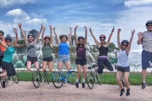 Chicago: Ultimate City Attractions Bike Tour