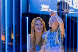 Chicago: Willis Tower Skydeck and The Ledge Ticket